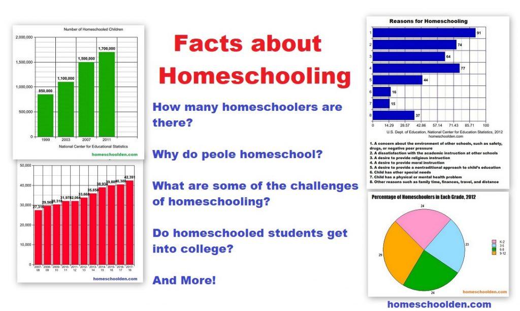 The Growing Appeal of Homeschooling in Modern Education